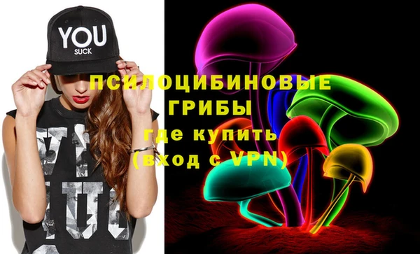 ПСИЛОЦИБИНОВЫЕ ГРИБЫ Алексеевка